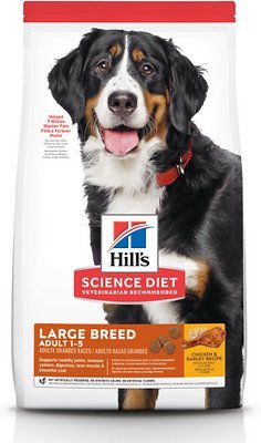 Chewy Dog Food