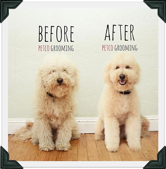 Petco Grooming Discount Code